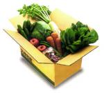 vegetal-box.jpg
